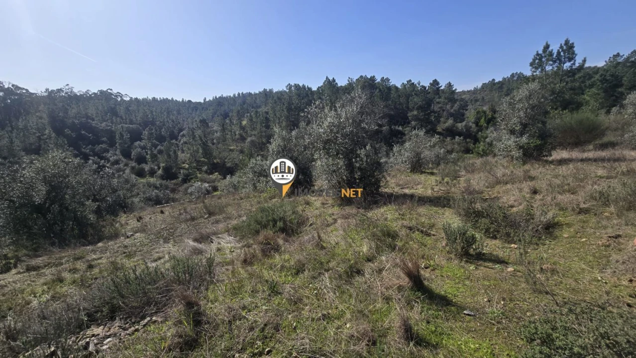 Terreno para Venda em Escalos de Baixo e Mata Foto 27