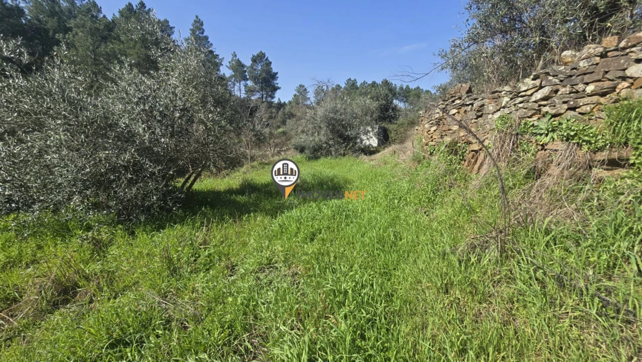 Terreno para Venda em Escalos de Baixo e Mata Foto 33