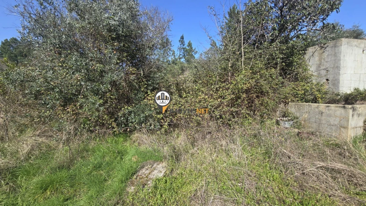 Terreno para Venda em Escalos de Baixo e Mata Foto 44