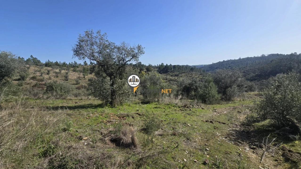 Terreno para Venda em Escalos de Baixo e Mata Foto 16
