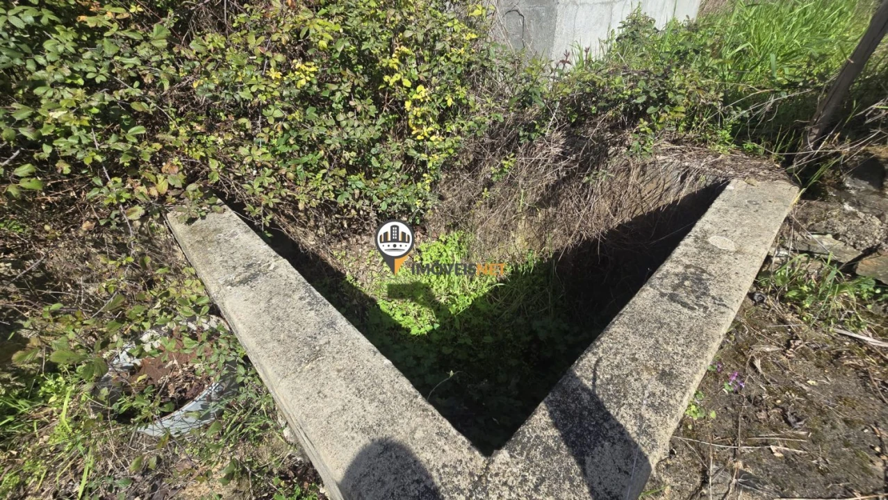 Terreno para Venda em Escalos de Baixo e Mata Foto 39