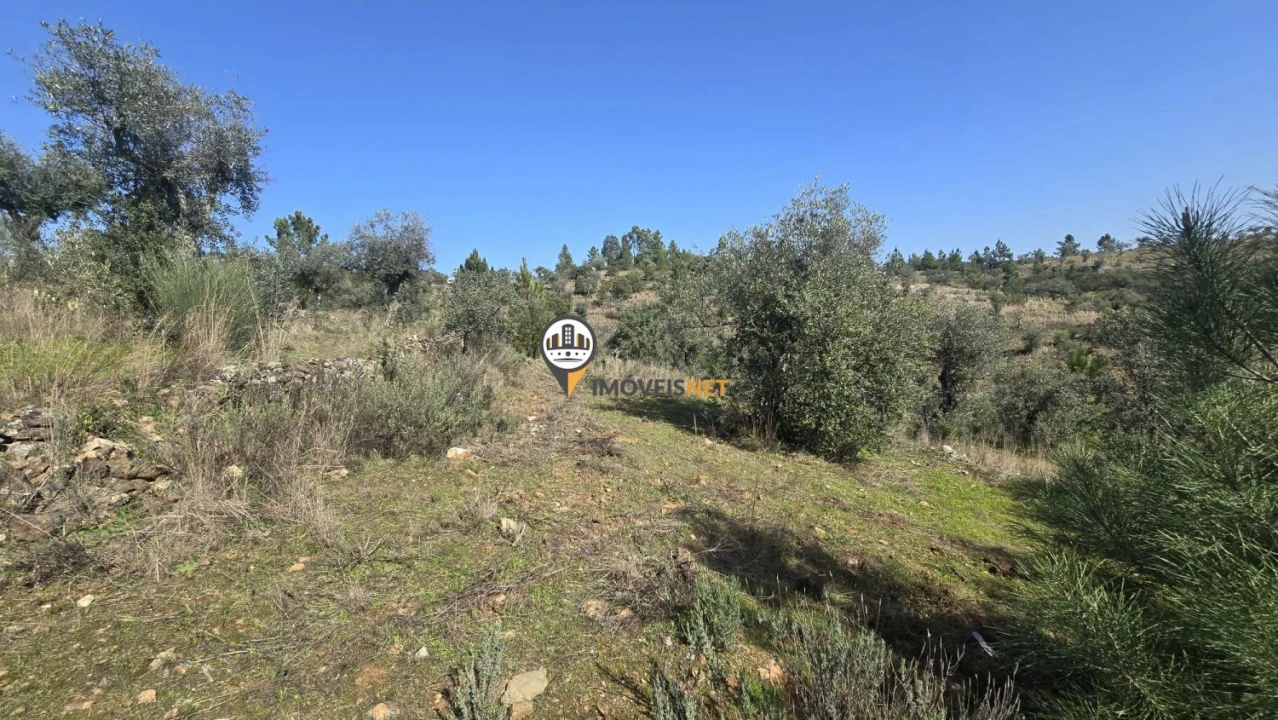 Terreno para Venda em Escalos de Baixo e Mata Foto 19