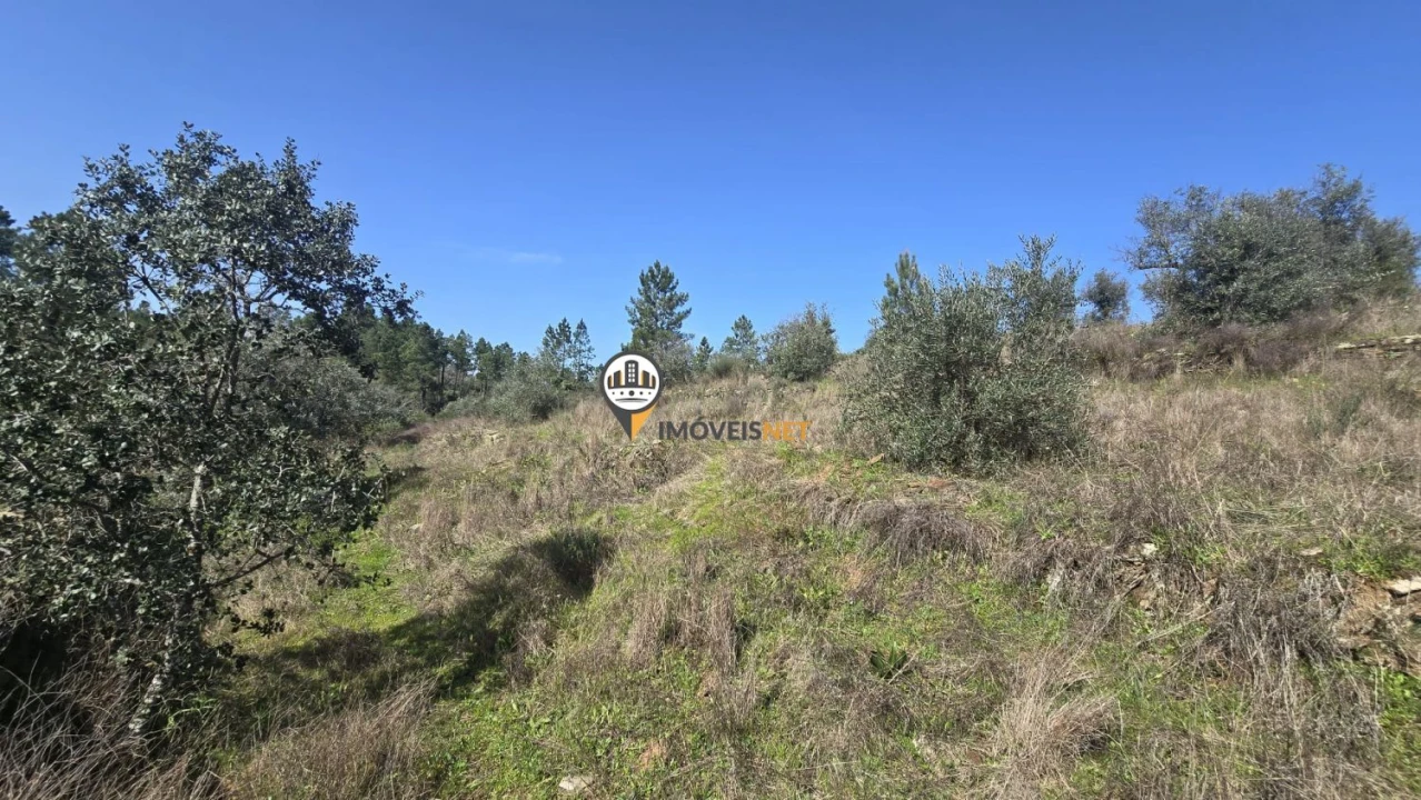 Terreno para Venda em Escalos de Baixo e Mata Foto 31