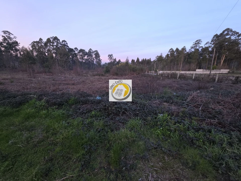 Terreno para Venda em Lobão, Gião, Louredo e Guisande Foto 1