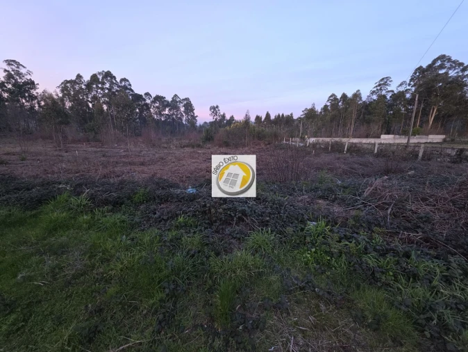 Terreno para Venda em Lobão, Gião, Louredo e Guisande Foto 1