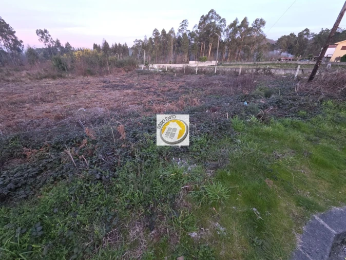 Terreno para Venda em Lobão, Gião, Louredo e Guisande Foto 4