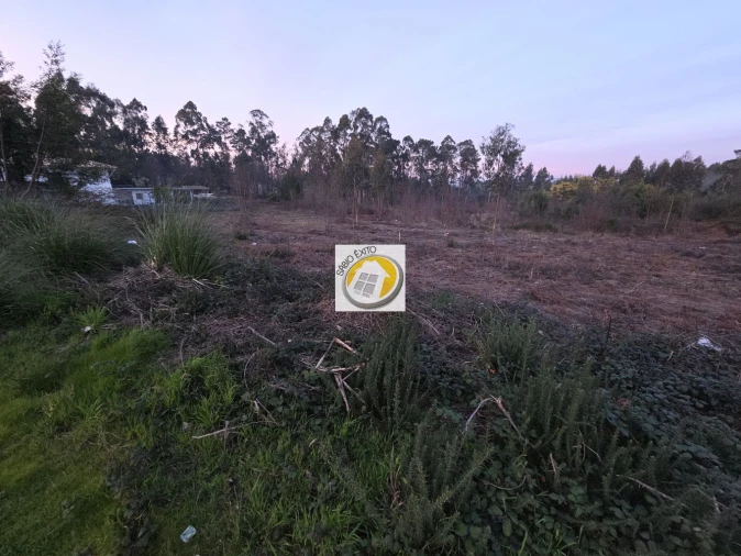 Terreno para Venda em Lobão, Gião, Louredo e Guisande Foto 5