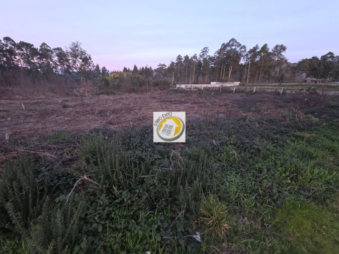 Terreno para Venda em Lobão, Gião, Louredo e Guisande Foto 7