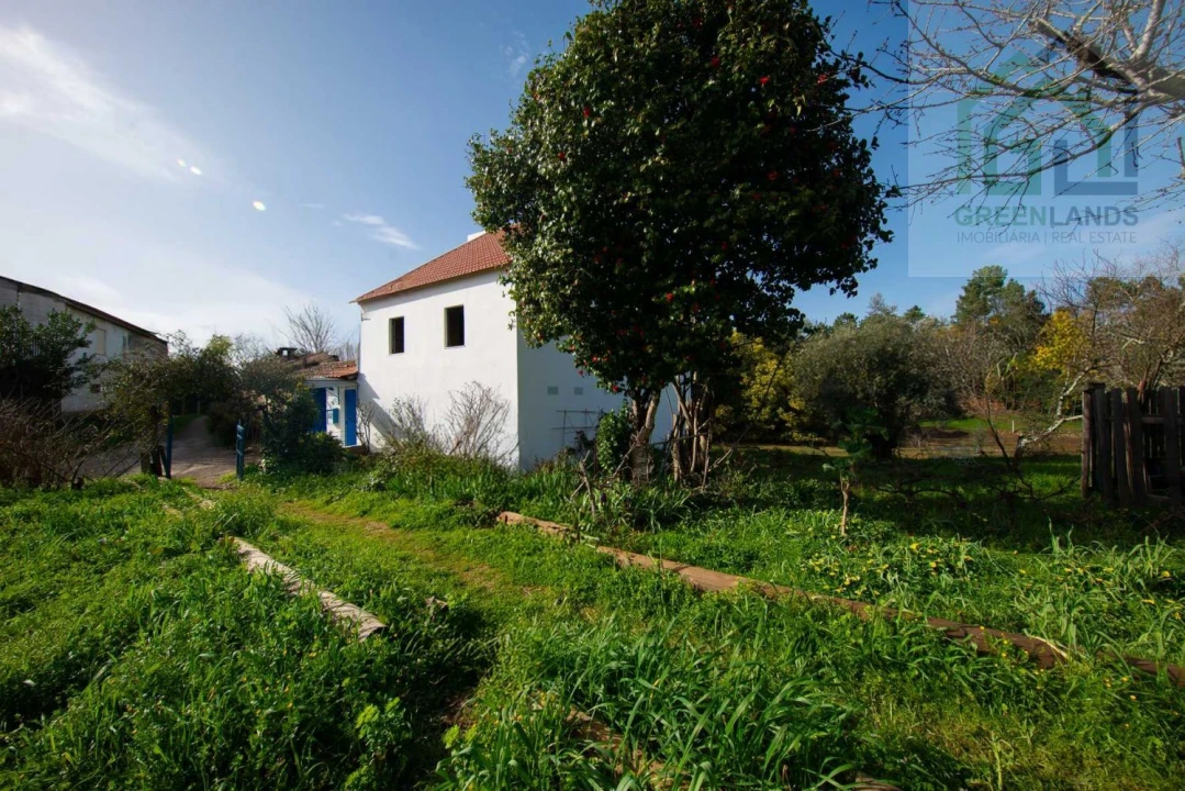 Quinta T3 para Venda em Mouronho Foto 44