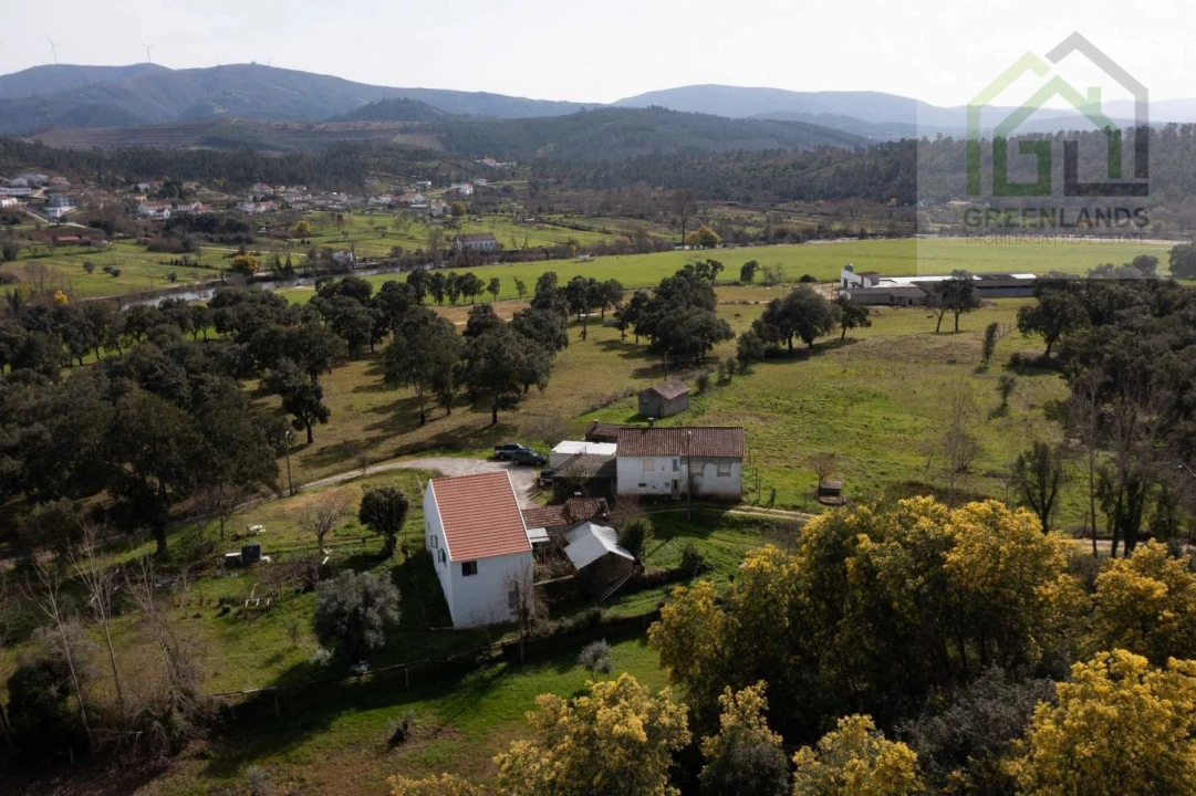Quinta T3 para Venda em Mouronho Foto 10