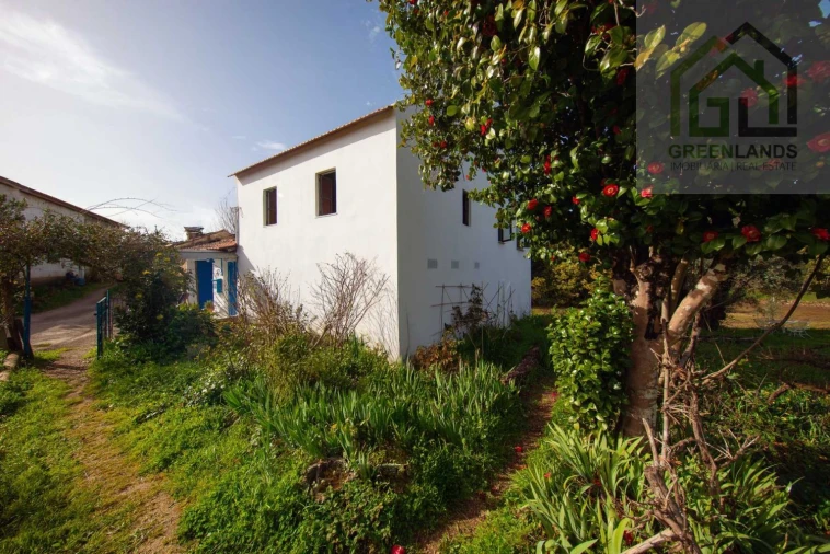 Quinta T3 para Venda em Mouronho Foto 43