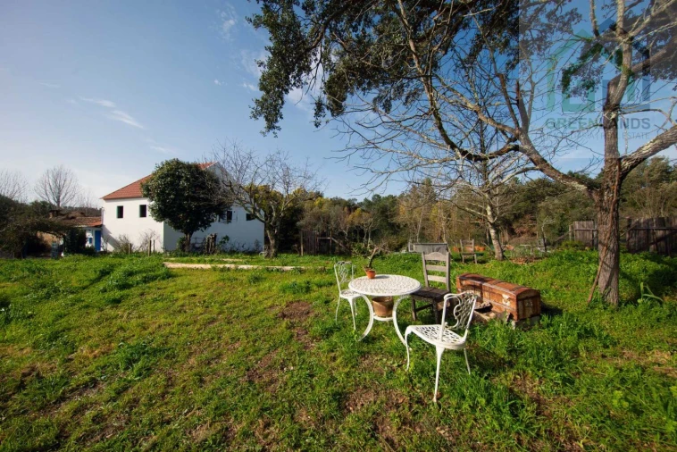 Quinta T3 para Venda em Mouronho Foto 45