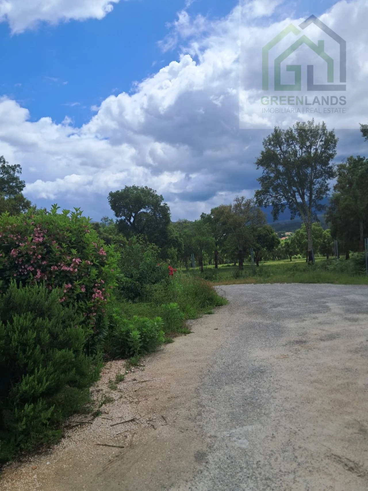 Quinta T3 para Venda em Mouronho Foto 49