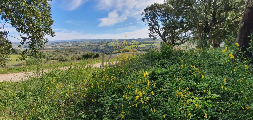 Terreno para Venda em A dos Negros Foto 1