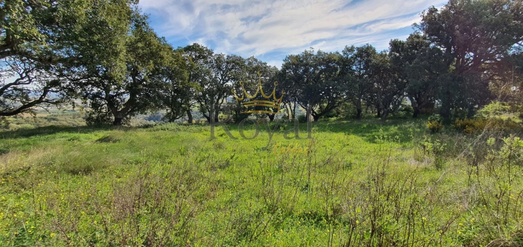 Terreno para Venda em A dos Negros Foto 2