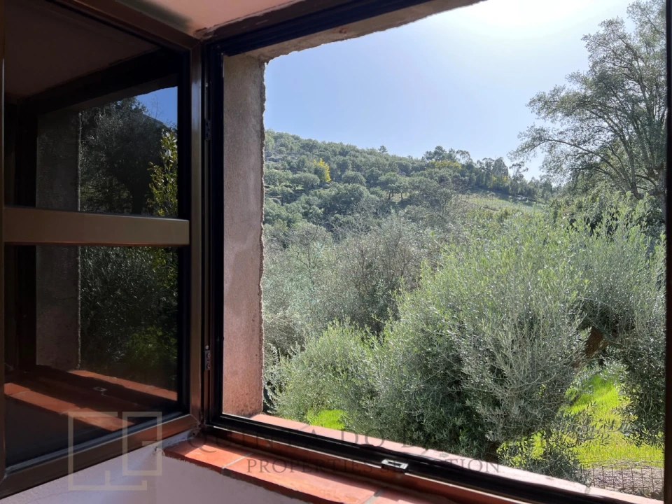 Moradia T1 para Venda em Santa Maria de Marvão Foto 14