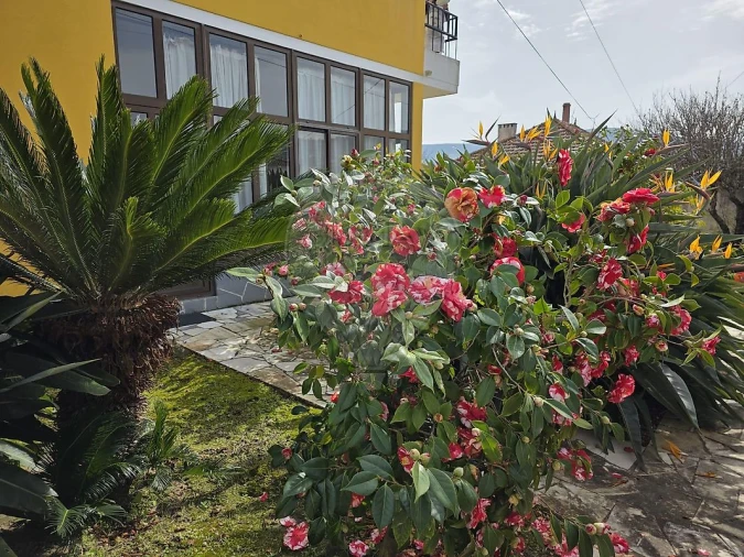 Moradia T6 para Venda em Arruda dos Vinhos Foto 7