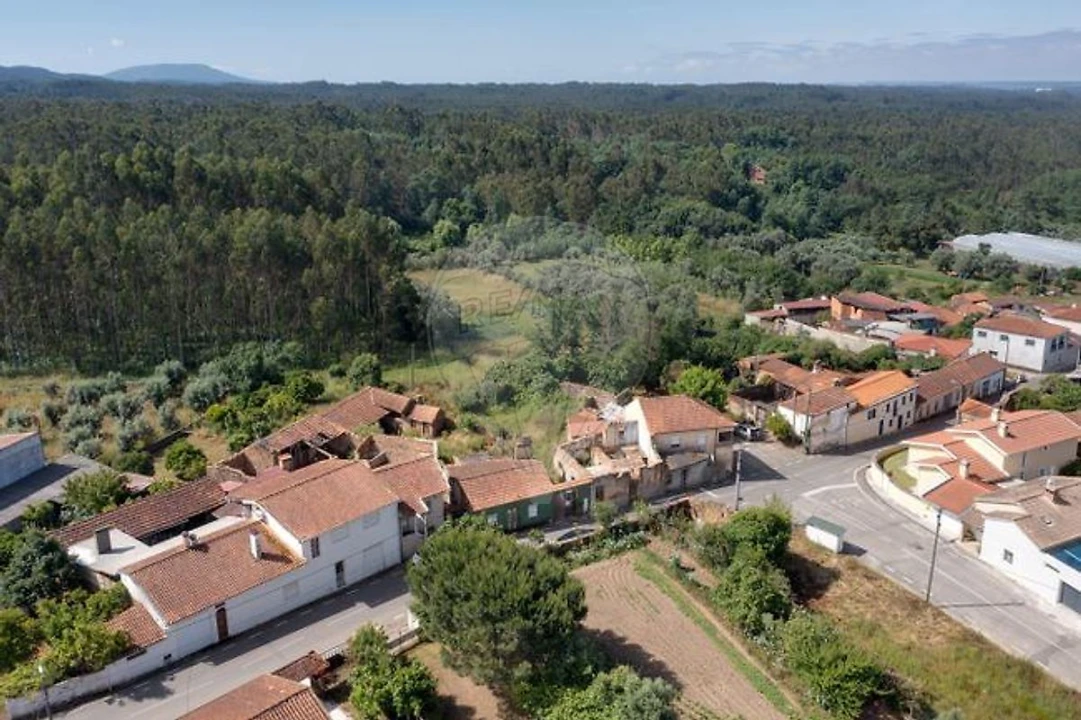 Moradia T3 para Venda em Avelãs de Cima Foto 7