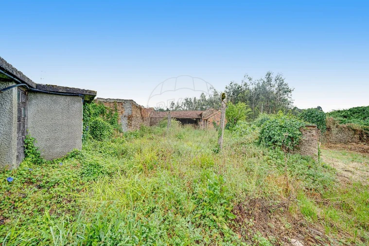 Moradia T3 para Venda em Avelãs de Cima Foto 12