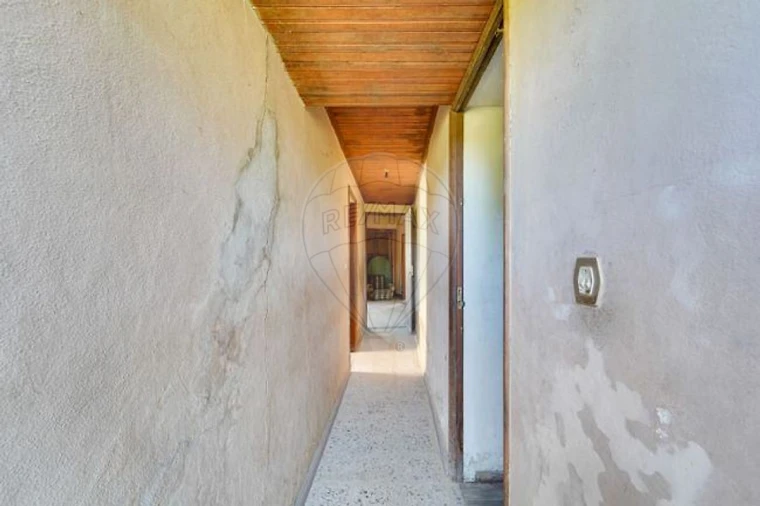 Moradia T3 para Venda em Avelãs de Cima Foto 3