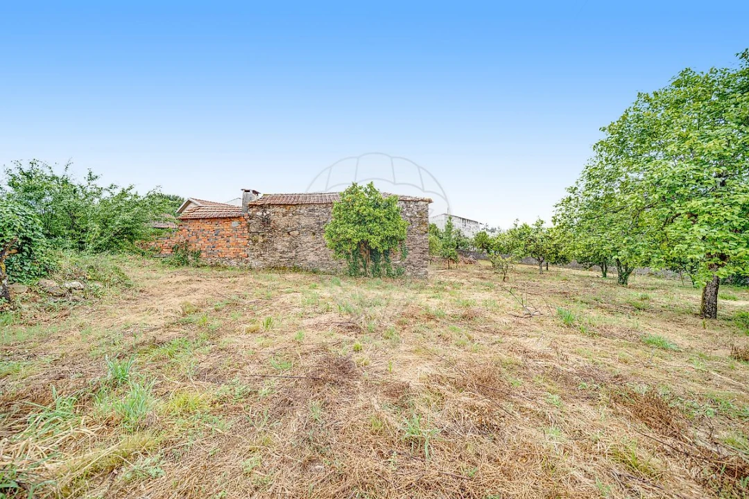 Moradia T3 para Venda em Avelãs de Cima Foto 10