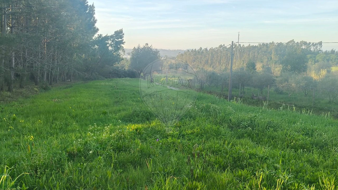 Terreno para Venda em Paião Foto 1