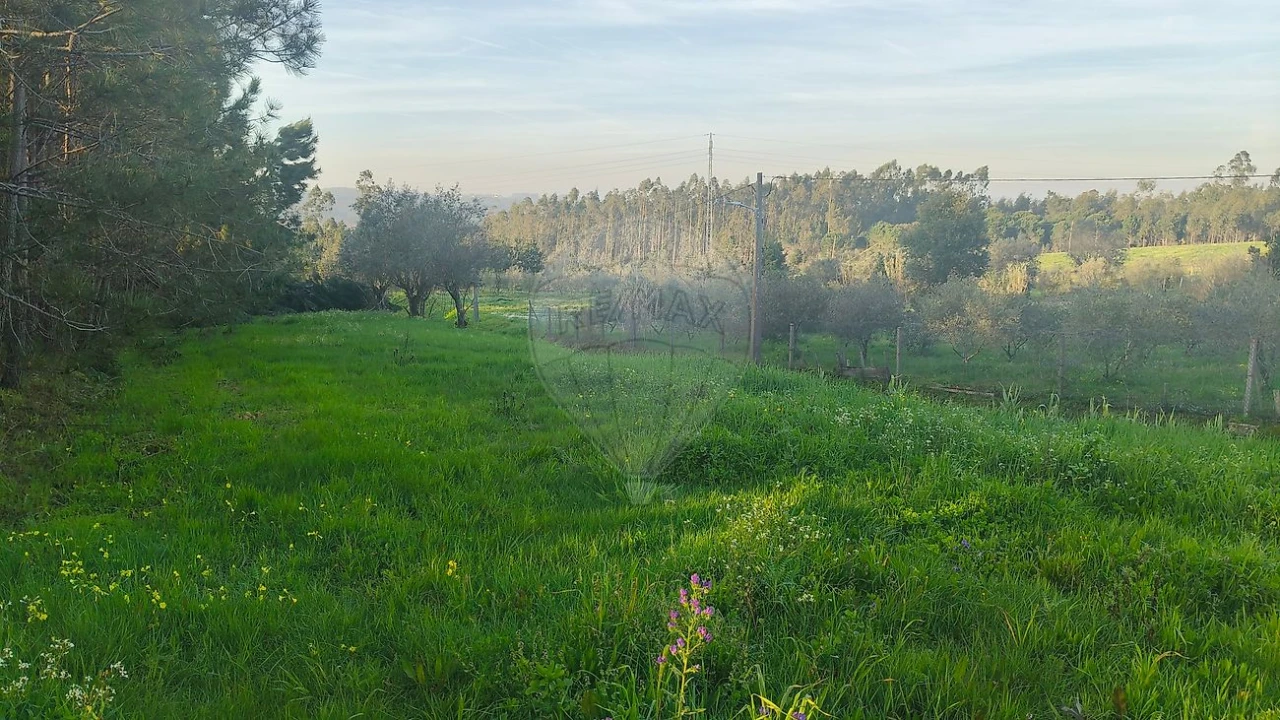Terreno para Venda em Paião Foto 2