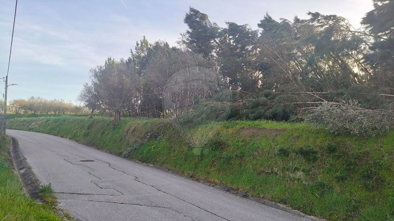 Terreno para Venda em Paião Foto 4