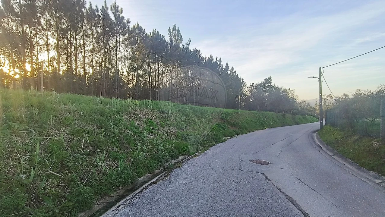Terreno para Venda em Paião Foto 6