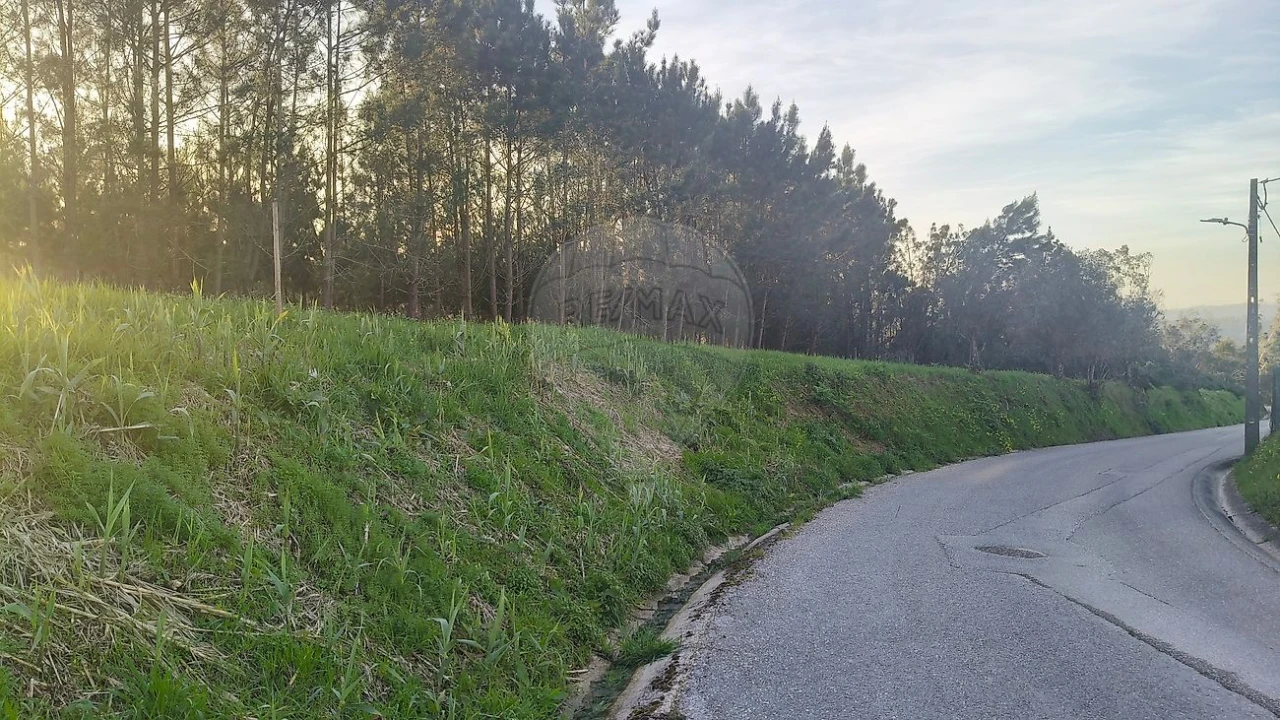 Terreno para Venda em Paião Foto 3