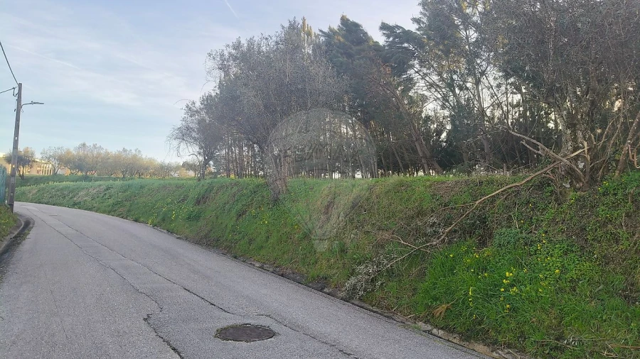 Terreno para Venda em Paião Foto 7