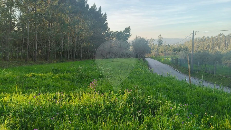 Terreno para Venda em Paião Foto 5