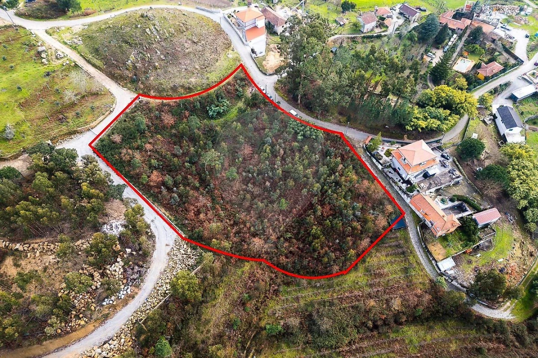 Terreno para Venda em Penhalonga e Paços de Gaiolo Foto 9