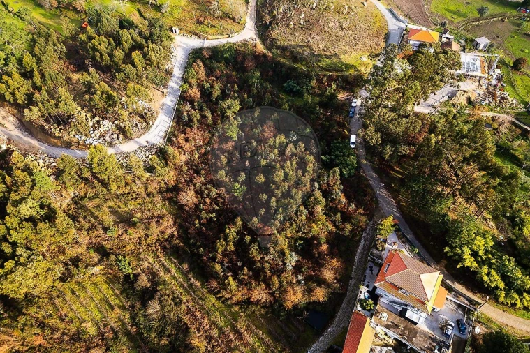 Terreno para Venda em Penhalonga e Paços de Gaiolo Foto 6