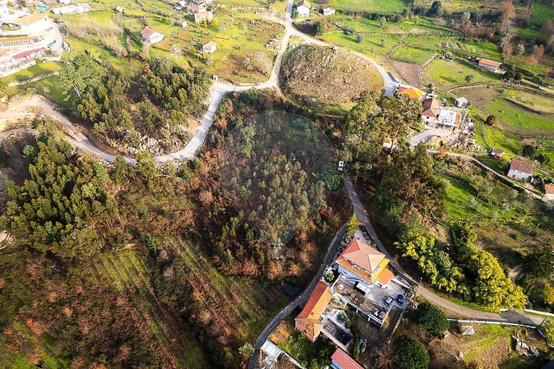 Terreno para Venda em Penhalonga e Paços de Gaiolo Foto 7