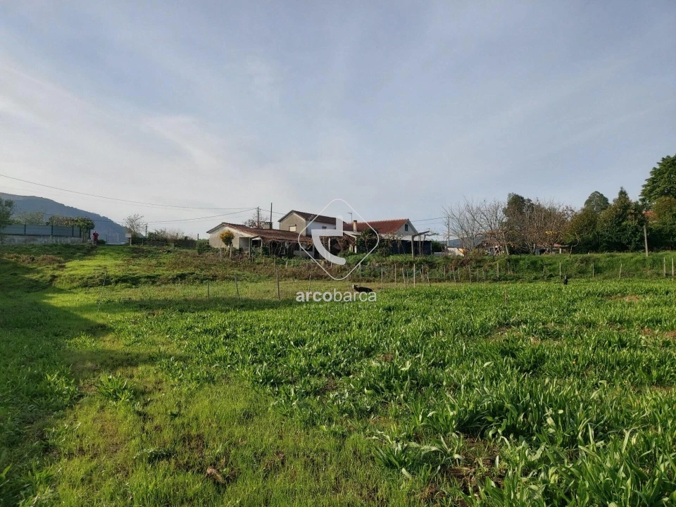 Terreno para Venda em Calheiros Foto 4