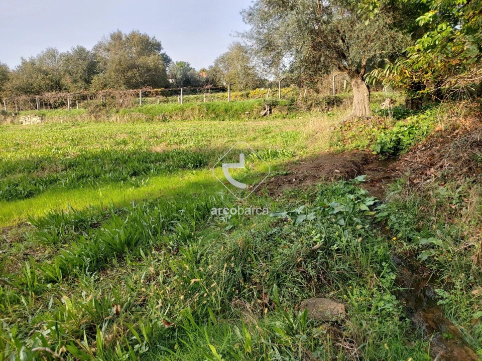 Terreno para Venda em Calheiros Foto 13