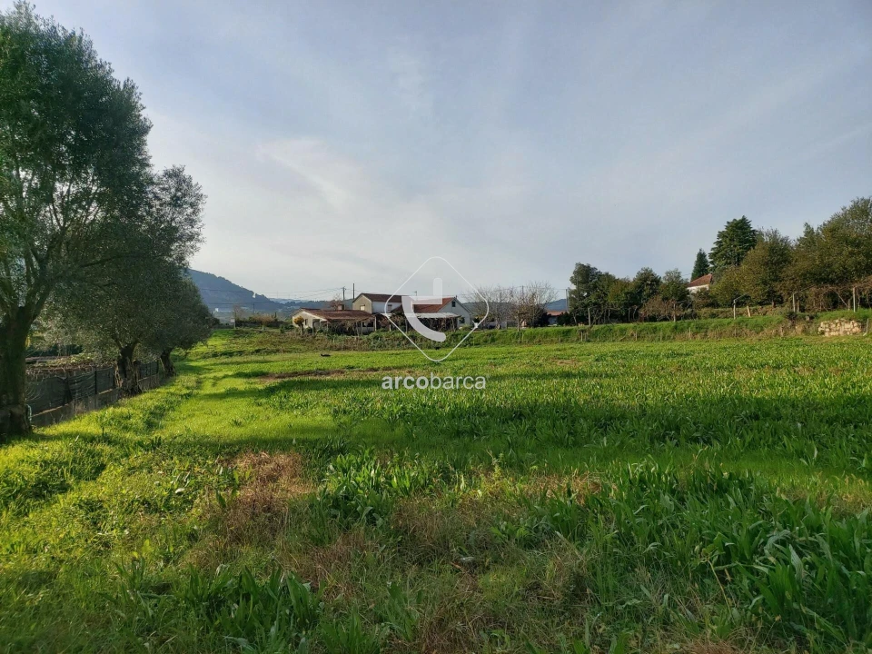 Terreno para Venda em Calheiros Foto 6