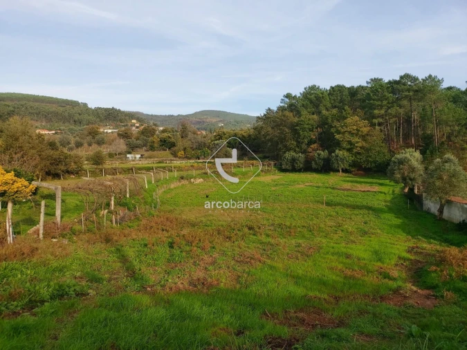 Terreno para Venda em Calheiros Foto 14