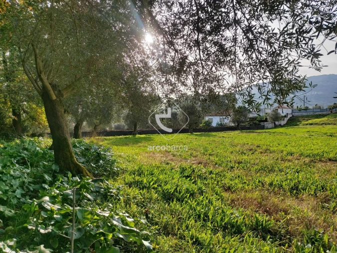 Terreno para Venda em Calheiros Foto 11