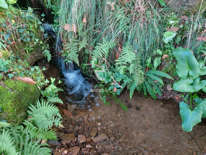 Terreno para Venda em Calheiros Foto 9