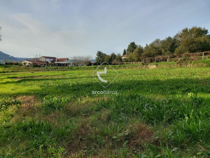 Terreno para Venda em Calheiros Foto 5