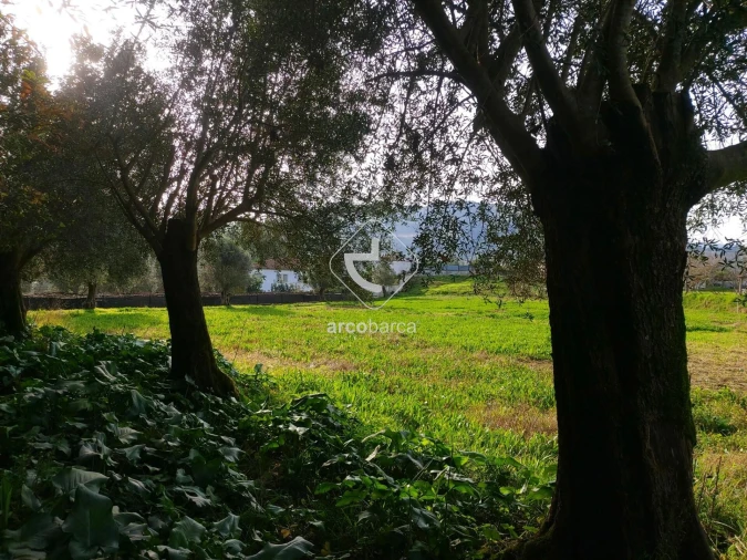 Terreno para Venda em Calheiros Foto 10