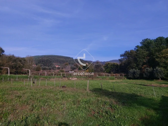 Terreno para Venda em Calheiros Foto 3