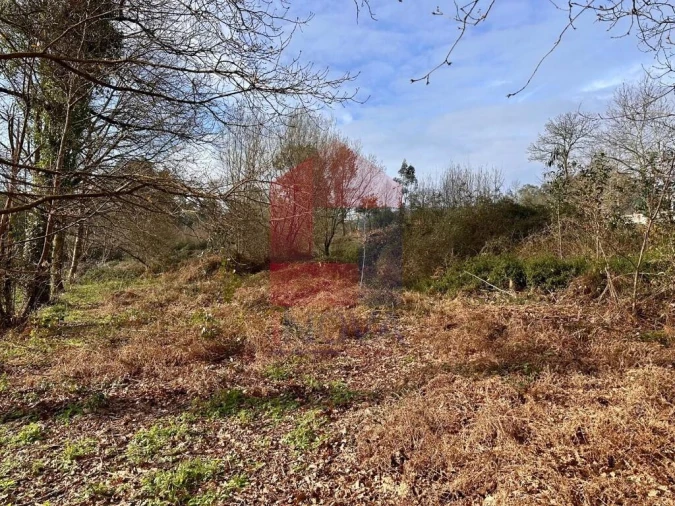 Terreno para Venda em Freiriz Foto 2