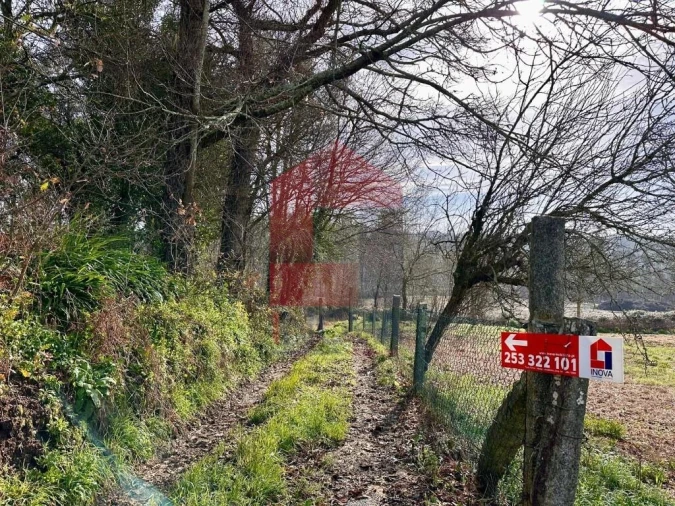 Terreno para Venda em Freiriz Foto 10