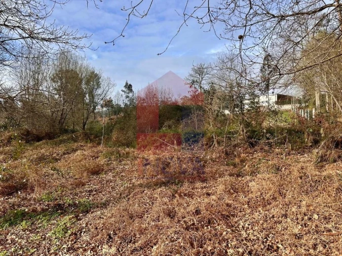 Terreno para Venda em Freiriz Foto 8