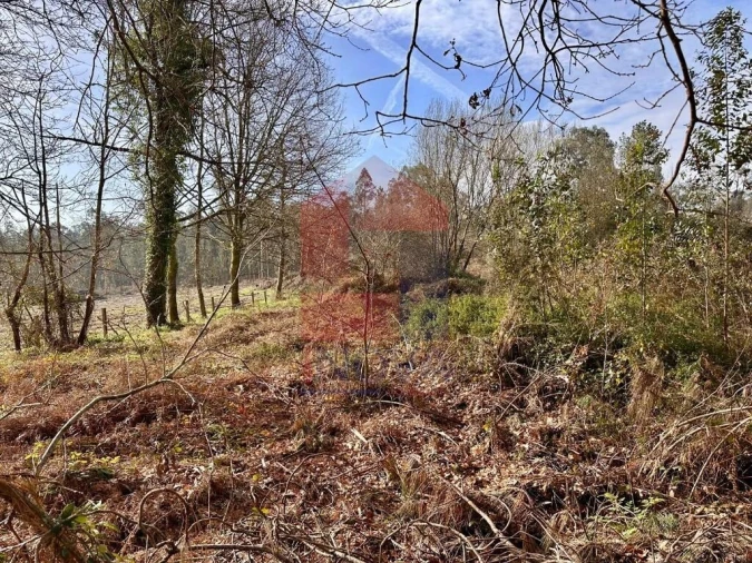Terreno para Venda em Freiriz Foto 3