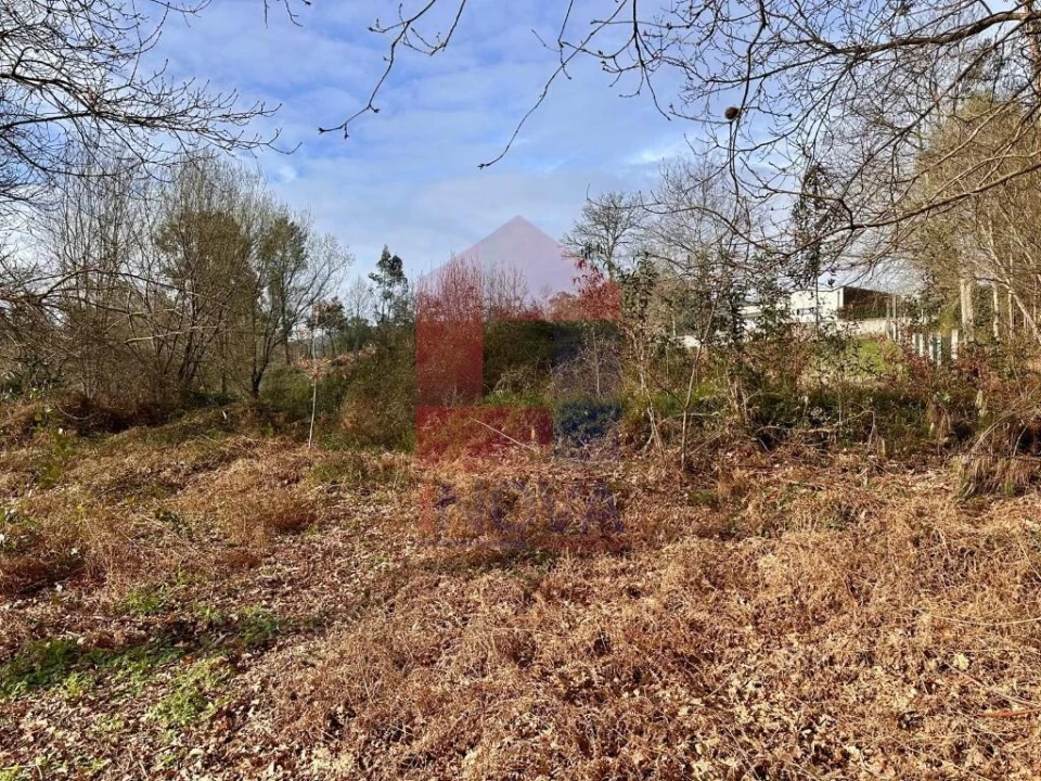 Terreno para Venda em Freiriz Foto 8