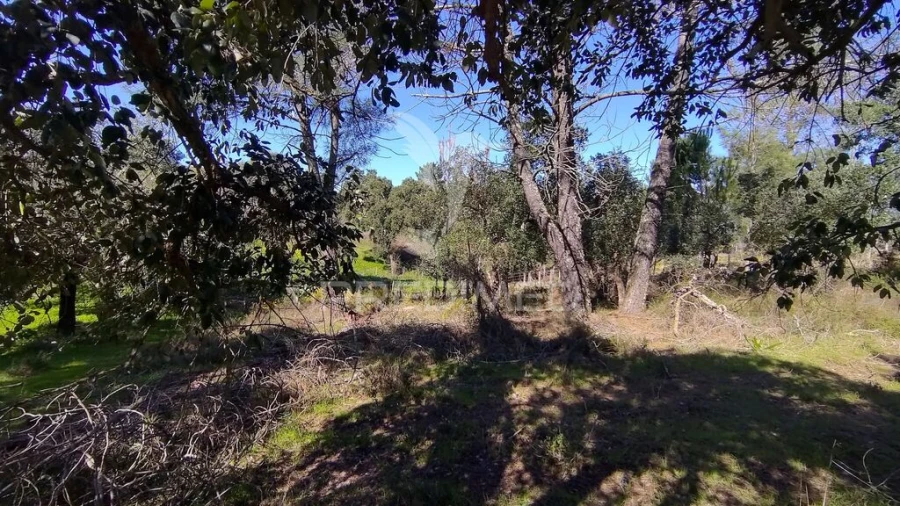 Terreno para Venda em Santa Margarida da Coutada Foto 16